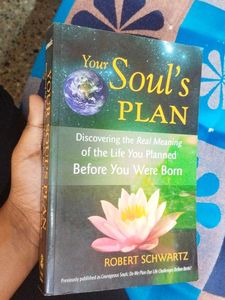 Your Soul's Plan Book