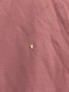 Cute Pikachu T-Shirt