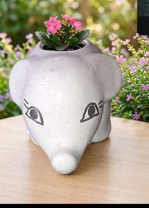 Cute Elephant Ceramic Planter - Brand New