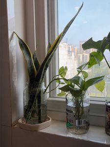Glass jar