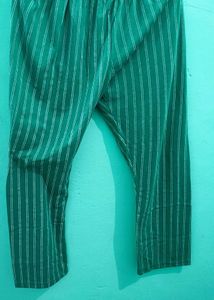 Stylish Green Striped Pants