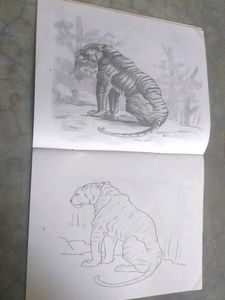 pencil shading/cushions