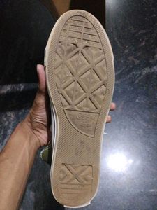 Converse All Star Sneakers