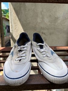 Men's White Canvas Sneakers(Power)