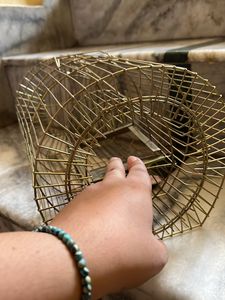 Mouse trap - Catches Multiple