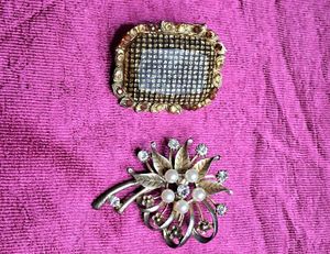 Combo Of 10,2 Saree Brooches, 6 hair Clips na wate