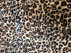 Tiger Print Georgette Top Never Used