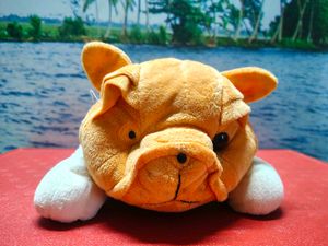 Cute Pig Plush Toy