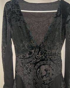 Velvet Dragon Print Dress