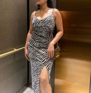 Velvet Zebra Print Maxi Dress
