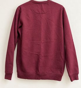 Allen Solly Men's Crewneck Sweatshirt
