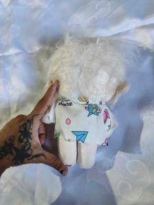 softtoy collection (1)