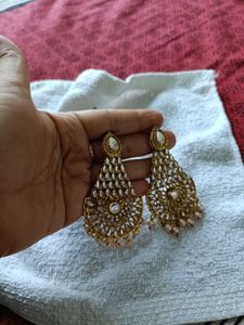 Elegant Dangler Earrings