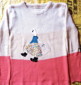 Beutiful Swetshirt Top