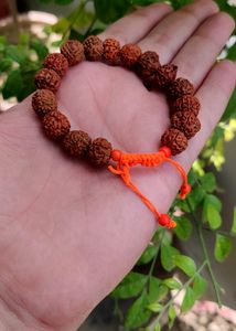 Panchmukhi Rudraksha Bracelet