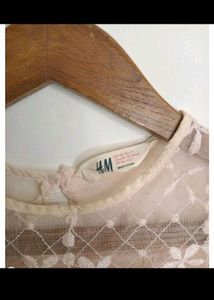 Elegant Lace top