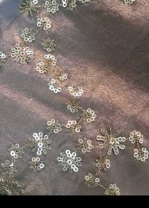 Embellished Saree