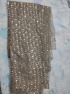Sparkling Sequined saree with blouse