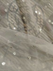 Elegant silver Sequin Dupatta
