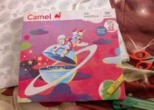 Camel Oil Pastels - 50 Shades