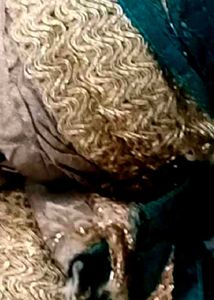 Exquisite Indian Sari with Gold Embellishments
