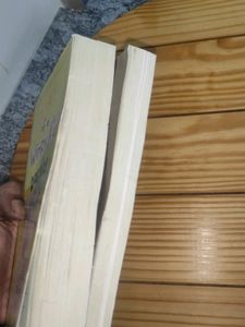 Dairy Of A Wimpy Kid 3 Books