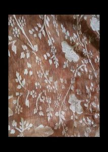 Elegant Brown Saree with Floral Design