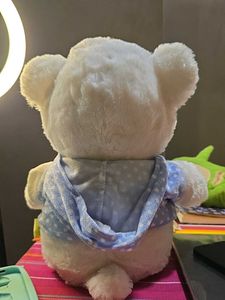 Cute White Teddy Bear Toy