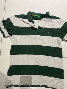 Classic Forest Stripe Polo 💚