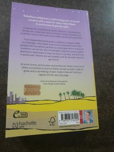 Stolen Hours by Manjula Padmanabhan