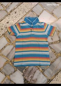 38. Colorful Striped Polo Shirt