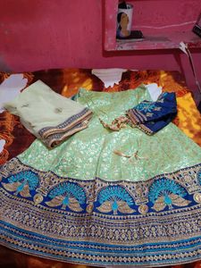 wedding pista green peacock heavy work lehenga set
