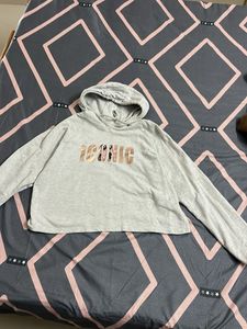 Gray "ICONIC" Hoodie