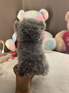 Tatty Teddy Bear with Rose