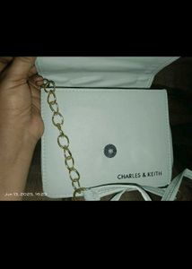 Charles &amp; Keith Bag