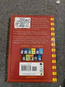 Diary of a Wimpy Kid: Double Down Book