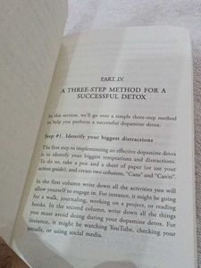 Dopamine Detox Book
