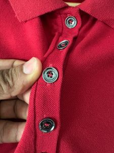 Burberry maroon Polo Shirt
