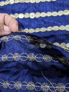 SEQUIN AND ZARI BORDER LACE