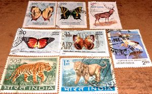 Set of 1980s Vintage butterfly & wildlife