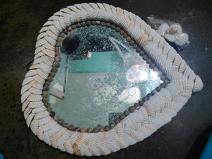 Shell 🐌  wall mirror 🪞