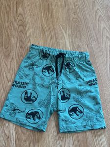 Jurassic World Dinosaur Shorts Set