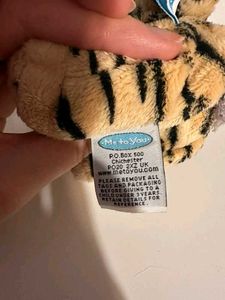 Teddy Bear in Tiger Costume