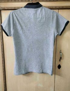 Shiba Star Kids Casuals Polo T-Shirt | 100% Cotton