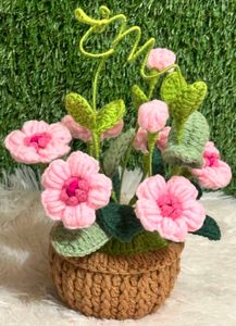 Handmade Crochet Flower Pot