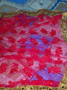 Beautiful Embroidered Net Saree