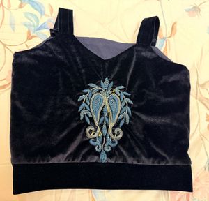 Velvet Embroidered Crop Top