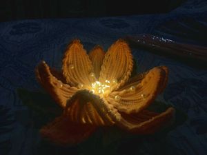 Handmade Lotus lamp 🪷 ✨️