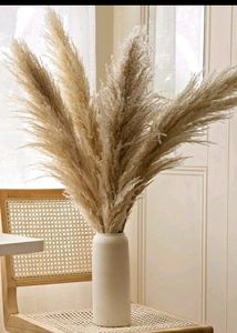 Dried Pampass Grass
