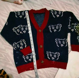Combo Of Beautiful Cardigan With Leggings